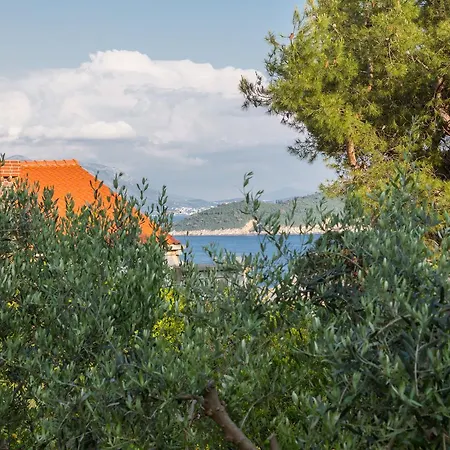 Franica * Dubrovnik